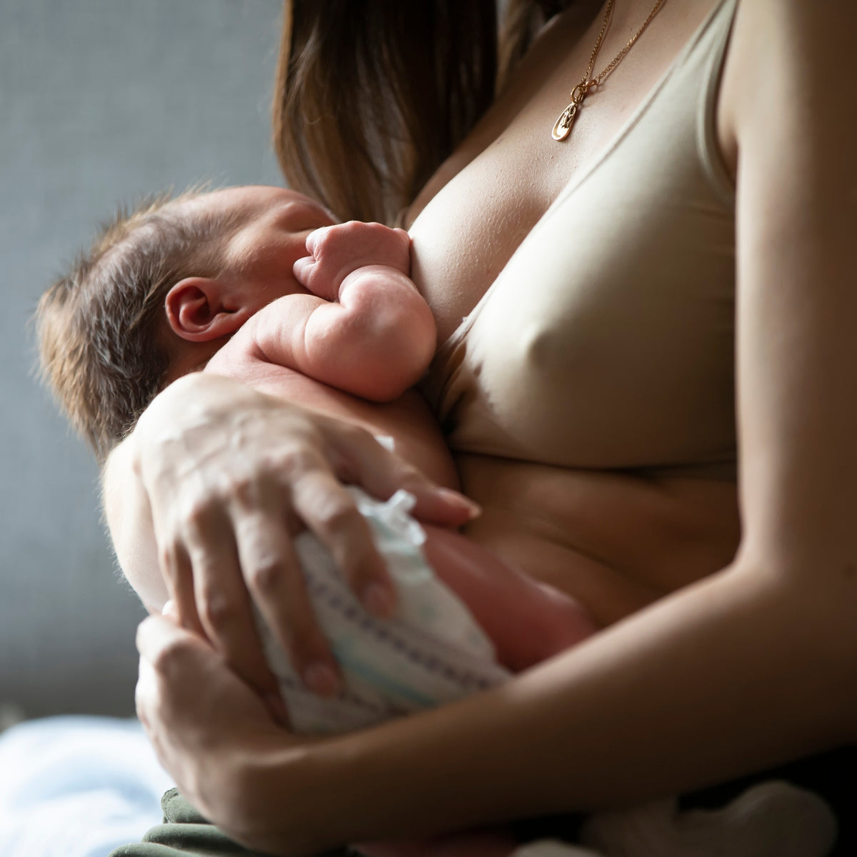 Prenatal Lactation Session